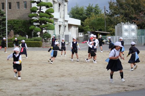 IMG_shippotori